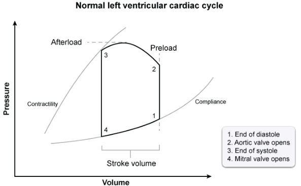 A left ventricular pressure-volume loop graph titled 'Normal left ventricular cardiac cycle'. The vertical axis tracks Pressure and the horizontal axis tracks Volume. The main loop shows four numbered corners: 1 (End of diastole), 2 (Aortic valve opens), 3 (End of systole), and 4 (Mitral valve opens). It also features bounding curves indicating Contractility and Compliance, while lines mark out Afterload, Preload, and Stroke volume.