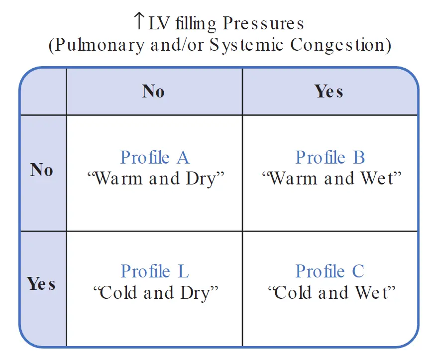 A 2 by 2 grid classifying acute heart failure profiles based on elevated LV filling pressures on the horizontal axis (No/Yes) and low cardiac output/hypoperfusion on the vertical axis (No/Yes). Top-left is Profile A ("Warm and Dry", normal). Top-right is Profile B ("Warm and Wet", congestion only). Bottom-left is Profile L ("Cold and Dry", hypoperfusion only). Bottom-right is Profile C ("Cold and Wet", hypoperfusion and congestion).